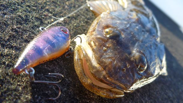 This month’s WAECO ice box winner is…